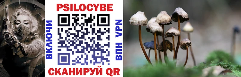 Псилоцибиновые грибы Cubensis  Мантурово 